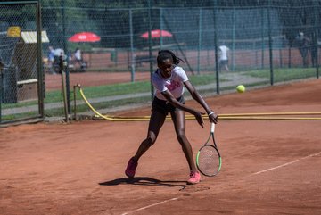 Noma Noha Akugue 295 - Amato Caffe Open